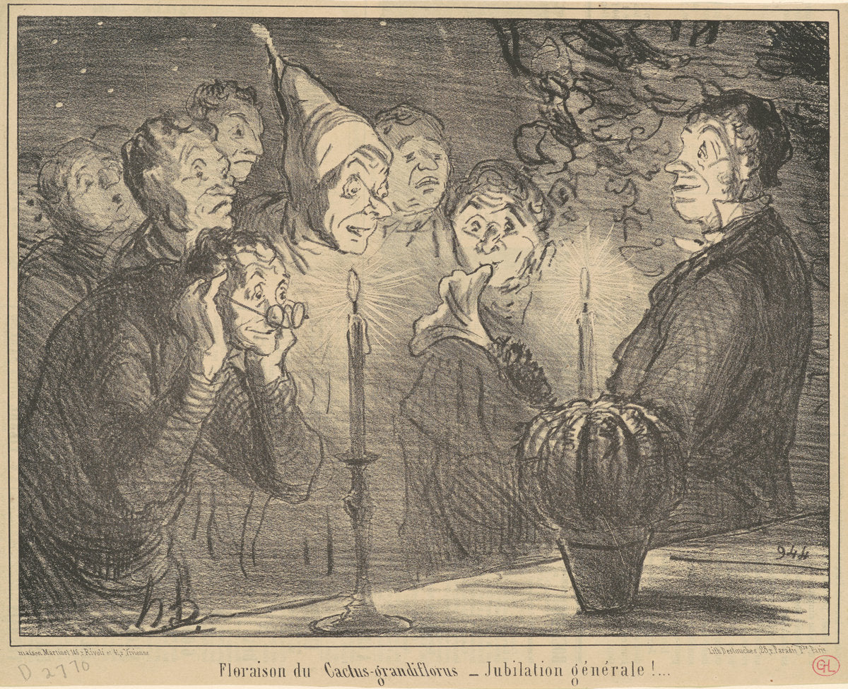 Floraison du Cactus-grandiflorus... by Honoré Daumier (French, 1808 - 1879), 16X12"(A3)Poster Print