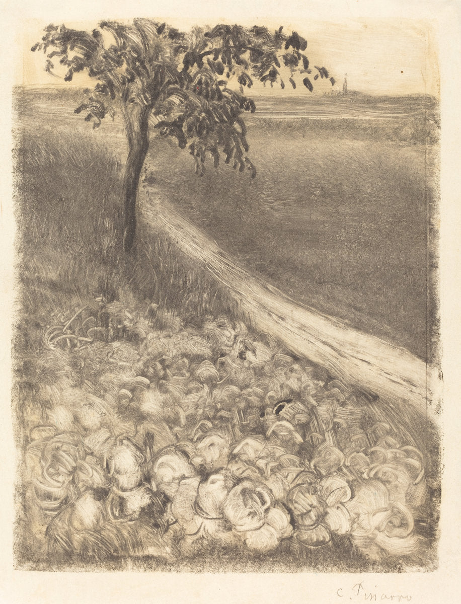 Road by a Field of Cabbages by Camille Pissarro (French, 1830 - 1903), 16X12"(A3)Poster Print