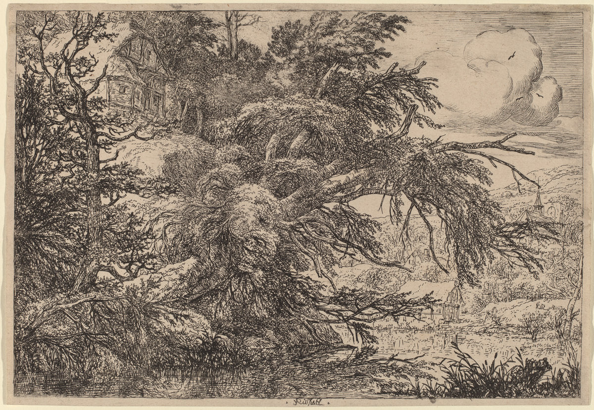 Cottage on a Hill by Jacob van Ruisdael (Dutch, c. 1628/1629 - 1682), 16X12"(A3)Poster Print