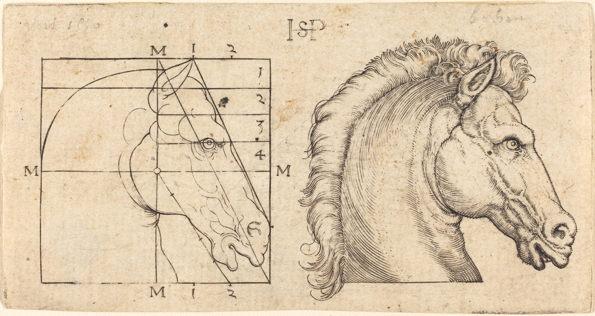 Two Horse Heads by Sebald Beham (German, 1500 - 1550), 16X12"(A3)Poster Print