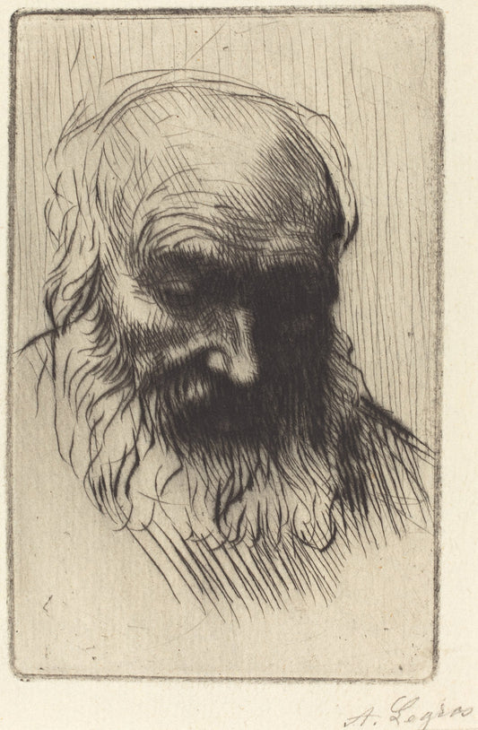 Head of an Old Man (Etude de tete) by Alphonse Legros (French, 1837 - 1911), 16X12"(A3)Poster Print