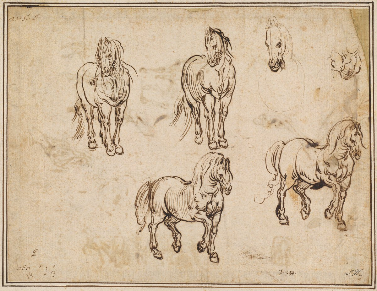Studies of Horses [recto] by Jacques Callot after Antonio Tempesta (French, 1592 - 1635), 16X12"(A3)Poster Print
