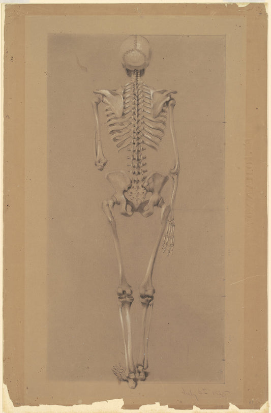 Rear View of a Skeleton by Daniel Huntington (American, 1816 - 1906), 16X12"(A3)Poster Print