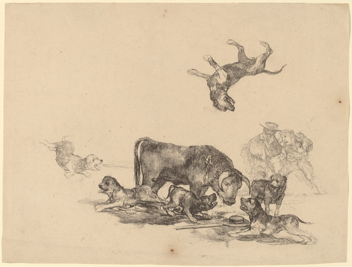 Bull Attacked by Dogs by Francisco de Goya (Spanish, 1746 - 1828), 16X12"(A3)Poster Print