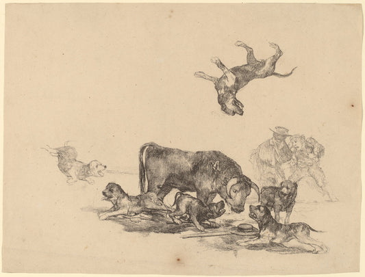 Bull Attacked by Dogs by Francisco de Goya (Spanish, 1746 - 1828), 16X12"(A3)Poster Print