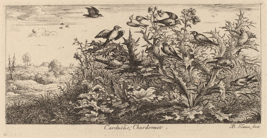 Carduelis, The Goldfinch by Albert Flamen (Flemish, c. 1620 - 1669 or after), 16X12"(A3)Poster Print