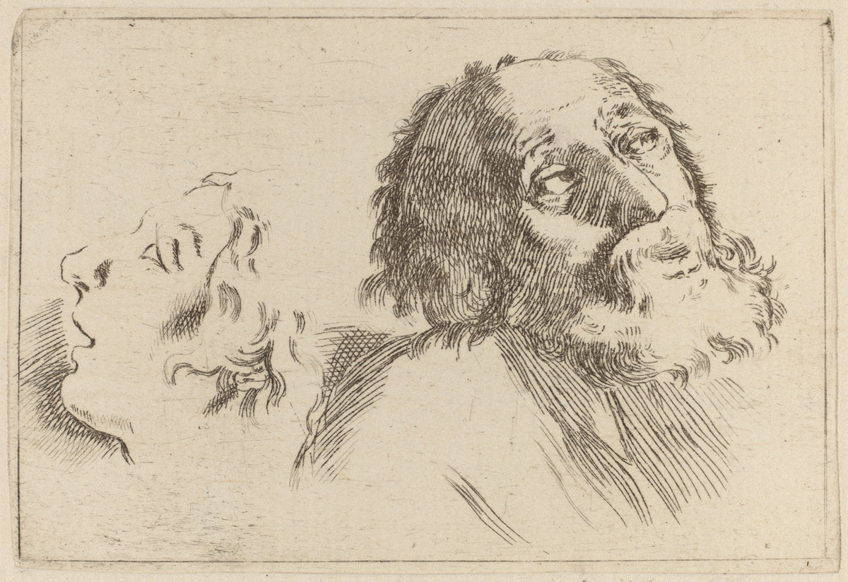 Study of Heads, One Turned to the Right and the Other Turned Left by Stefano Della Bella (Italian, 1610 - 1664), 16X12"(A3)Poster Print
