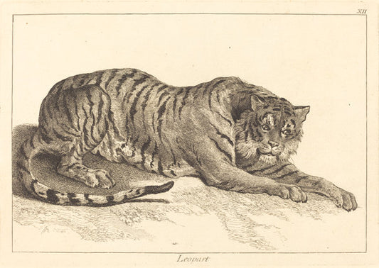 Leopart (Leopard or Tiger) by Jacques-Philippe Le Bas and Jean Eric Rehn after Jean-Baptiste Oudry (French, 1707 - 1783), 16X12"(A3)Poster Print