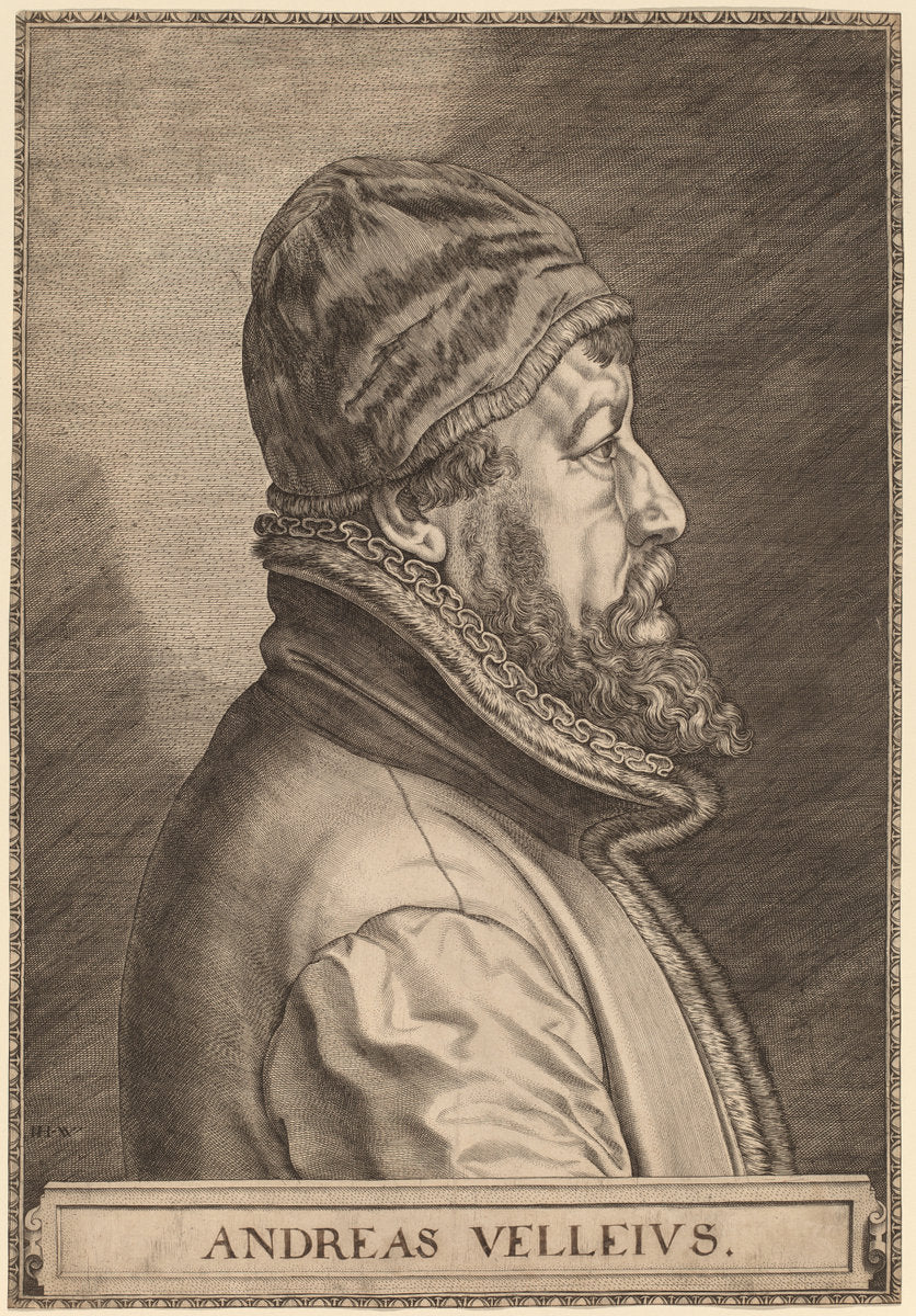 Andreas Velleius (Anders Sorensen Vedel) by Johan Wierix (Flemish, c. 1549 - 1615 or after), 16X12"(A3)Poster Print