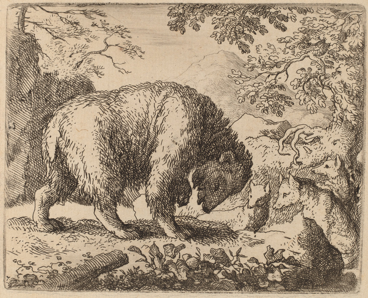 The Bear Distracted with Talk of Honey by Allart van Everdingen (Dutch, 1621 - 1675), 16X12"(A3)Poster Print