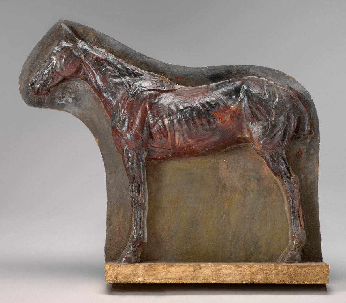 Ecorché: Relief of a Horse (Josephine) by Thomas Eakins (American, 1844 - 1916), 16X12"(A3)Poster Print