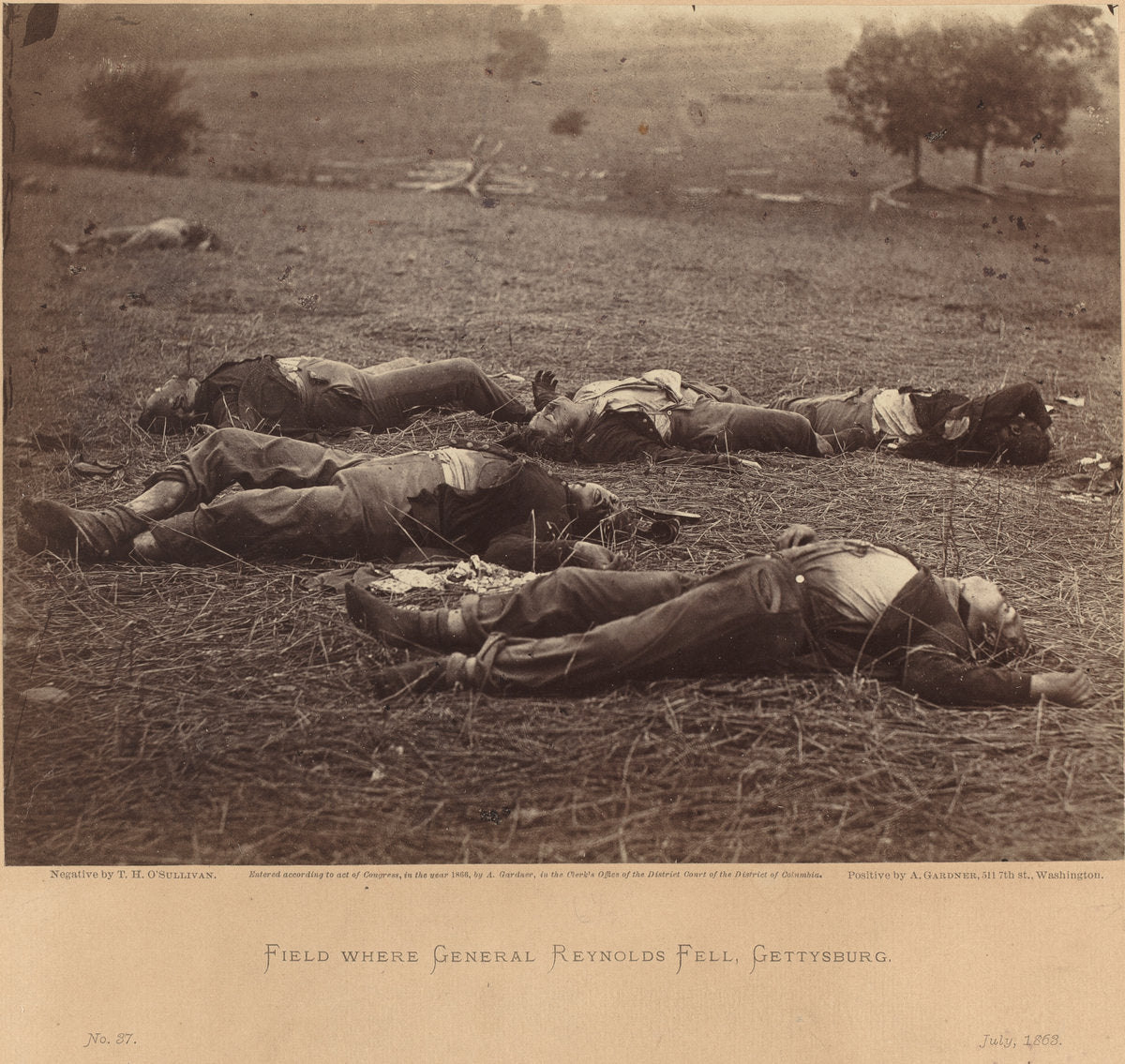 Field Where General Reynolds Fell, Gettysburg, July 5, 1863 by Timothy H. O'Sullivan (American, born Ireland, 1840 - 1882), 16X12"(A3)Poster Print