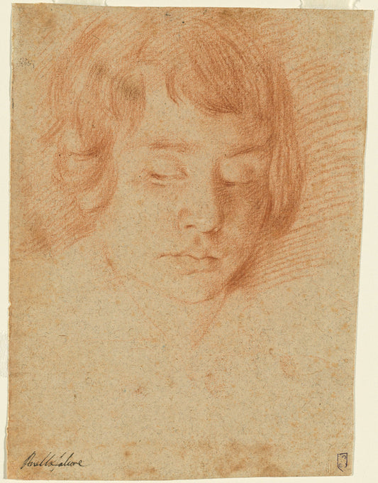 Head of a Boy (Gennaro Falcone?) by Aniello Falcone (Italian, 1607 - 1656), 16X12"(A3)Poster Print