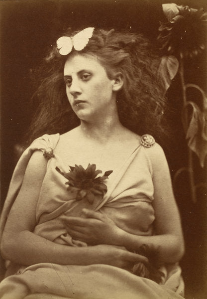 The Sunflower by Julia Margaret Cameron (British, 1815 - 1879), 16X12
