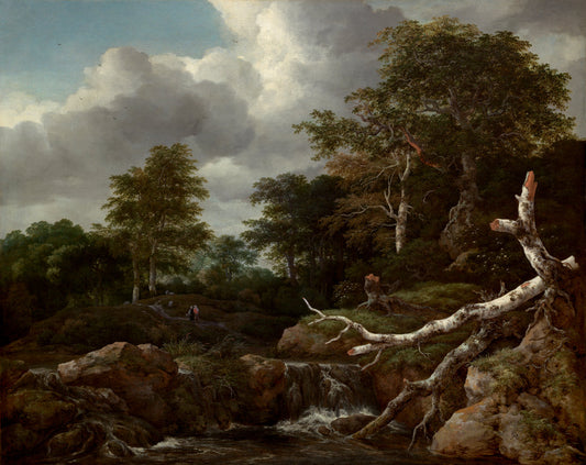 Forest Scene by Jacob van Ruisdael (Dutch, c. 1628/1629 - 1682), 16X12"(A3)Poster Print
