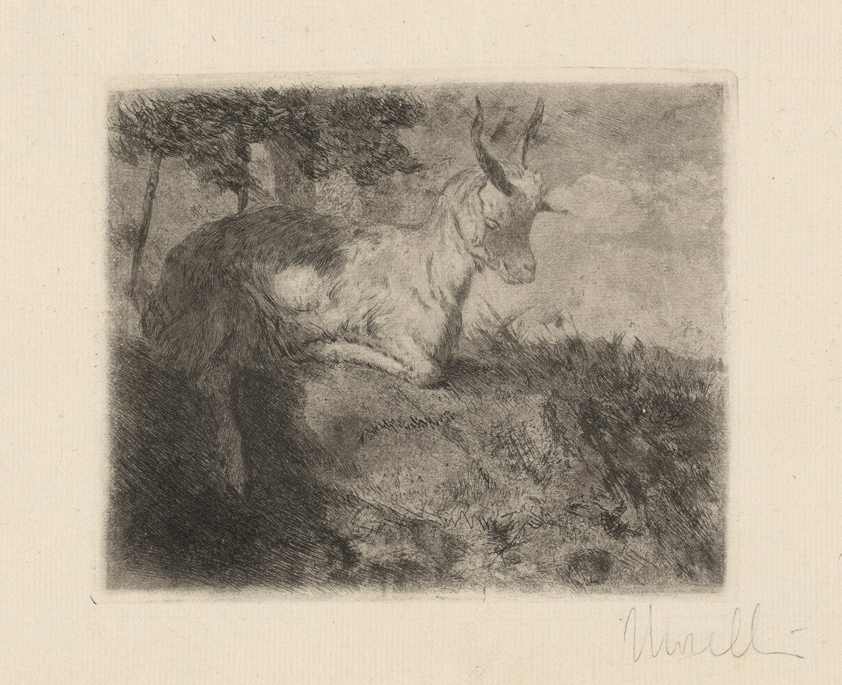 The Little Goat (La capretta) by Domenico Morelli (Neapolitan, 1823 - 1901), 16X12"(A3)Poster Print