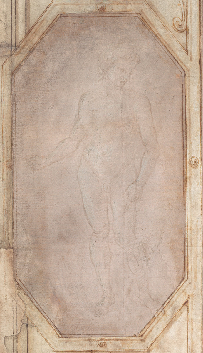 Standing Nude Youth by Filippino Lippi (Florentine, 1457 - 1504), 16X12"(A3)Poster Print
