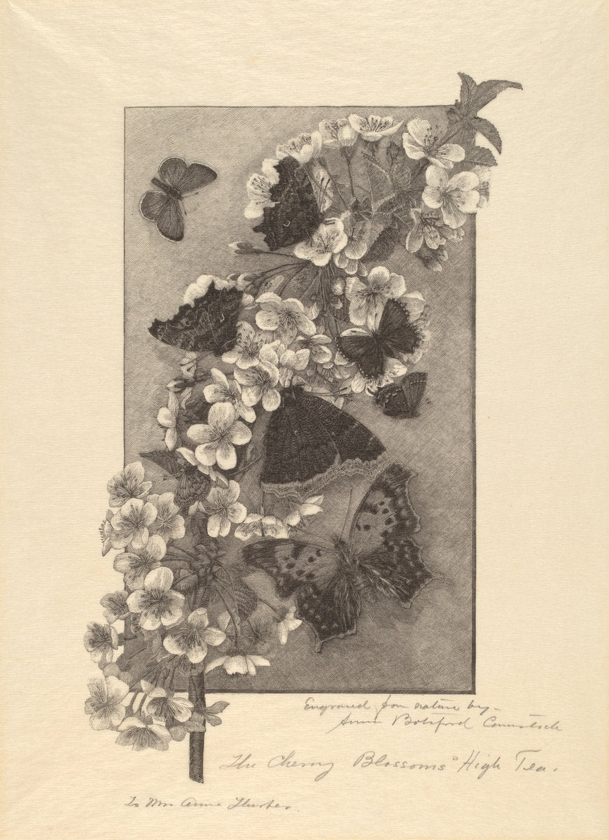 The Cherry Blossoms - High Tea by Anna Botsford Comstock (American, 1854 - 1930), 16X12"(A3)Poster Print