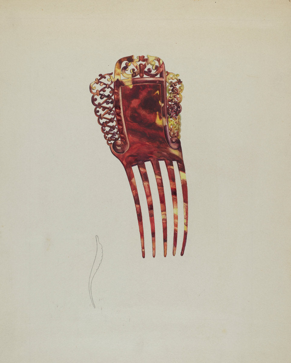 Comb by Isidore Steinberg (American, active c. 1935), 16X12"(A3)Poster Print