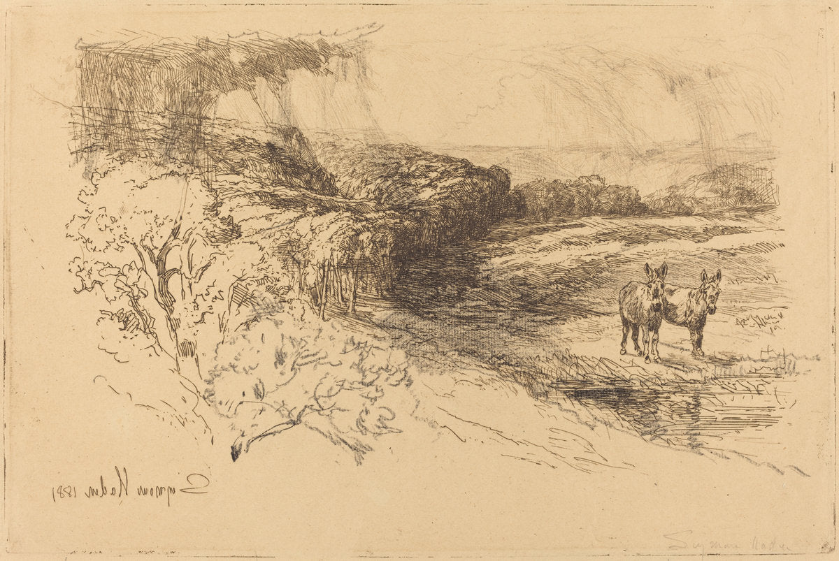 Encombe Woods (No.1) by Francis Seymour Haden (British, 1818 - 1910), 16X12"(A3)Poster Print