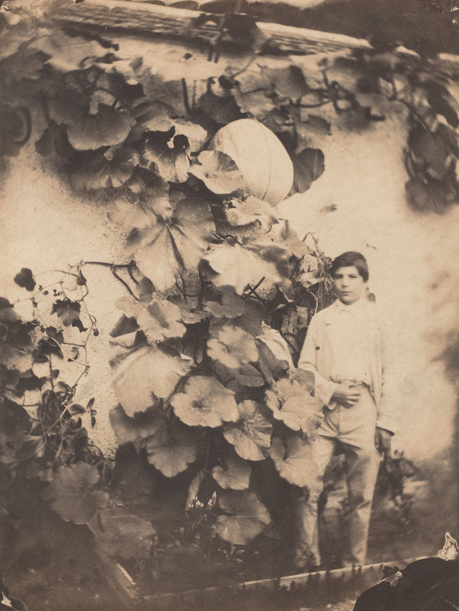 Boy with a Pumpkin Vine by Varin Frères (French, active 1853 - 1897), 16X12"(A3)Poster Print