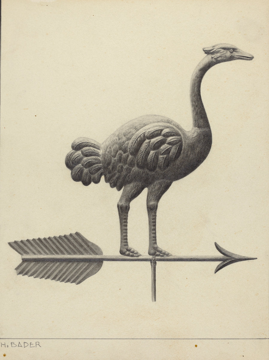 Ostrich Weather Vane by Herman Bader (American, active c. 1935), 16X12"(A3)Poster Print
