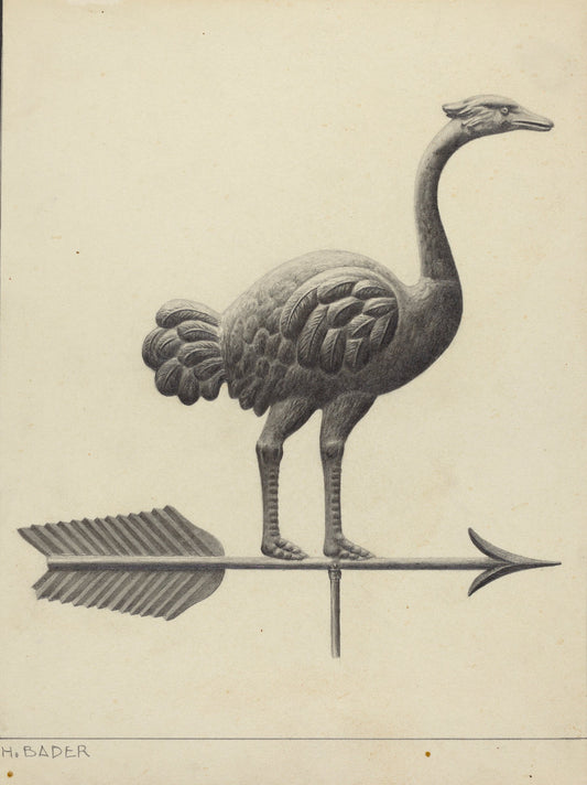 Ostrich Weather Vane by Herman Bader (American, active c. 1935), 16X12"(A3)Poster Print