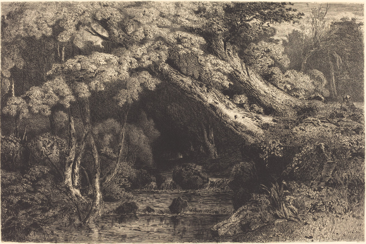 Saint-Pierre Stream near Pierrefond (Ruisseaude Saint-Pierre, pres Pierrefond) by Paul Huet (French, 1803 - 1869), 16X12"(A3)Poster Print