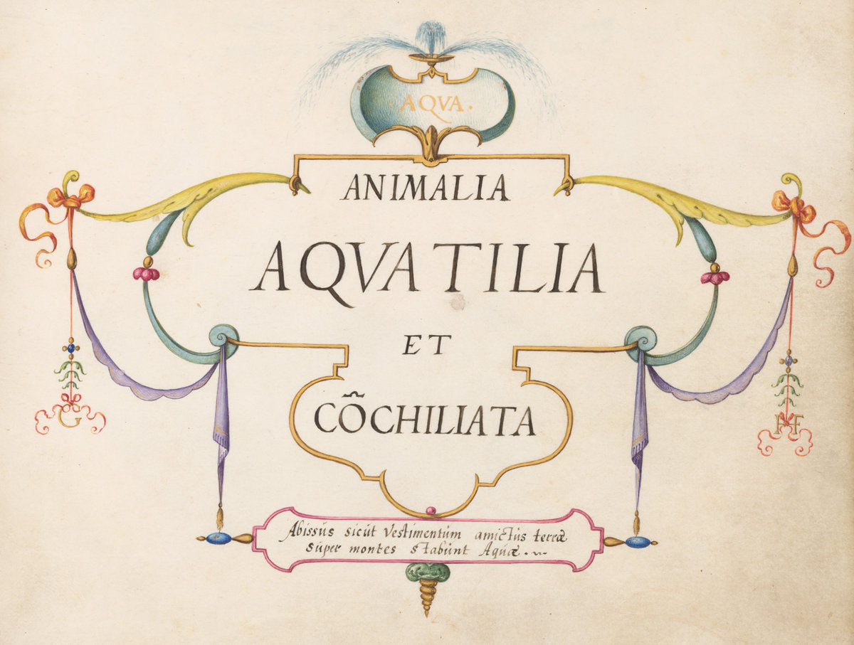 Animalia Aqvatilia et Cochiliata (Aqva): Title Page by Joris Hoefnagel (Flemish, 1542 - 1600), 16X12"(A3)Poster Print