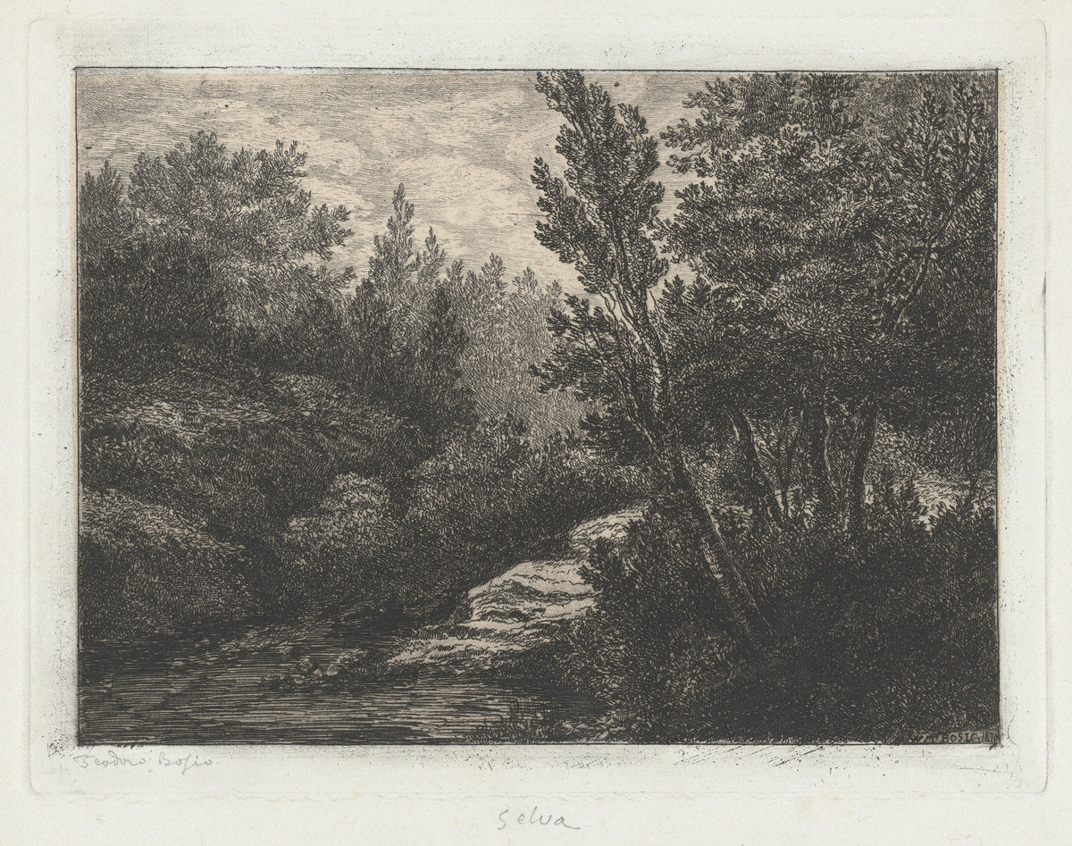 Selva (Woods) by Walter Teodoro Bosio (Italian, born c. 1835), 16X12"(A3)Poster Print