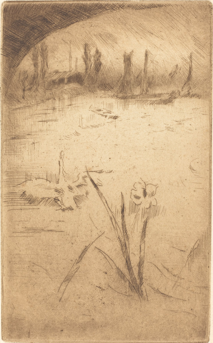 Swan and Iris by James McNeill Whistler (American, 1834 - 1903), 16X12"(A3)Poster Print
