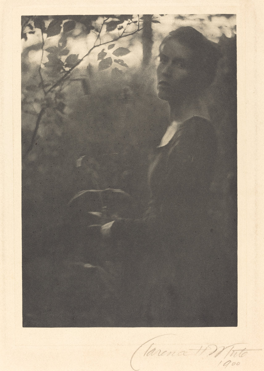 Edge of the Woods, Evening by Clarence H. White (American, 1871 - 1925), 16X12"(A3)Poster Print