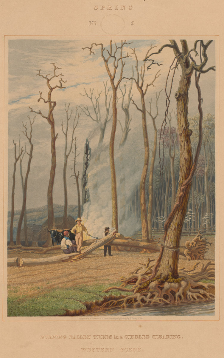 Spring--Burning Fallen Trees in a Girdled Clearing. Western Scene by William James Bennett after George Harvey (American, born England, c. 1787 - 1844), 16X12"(A3)Poster Print