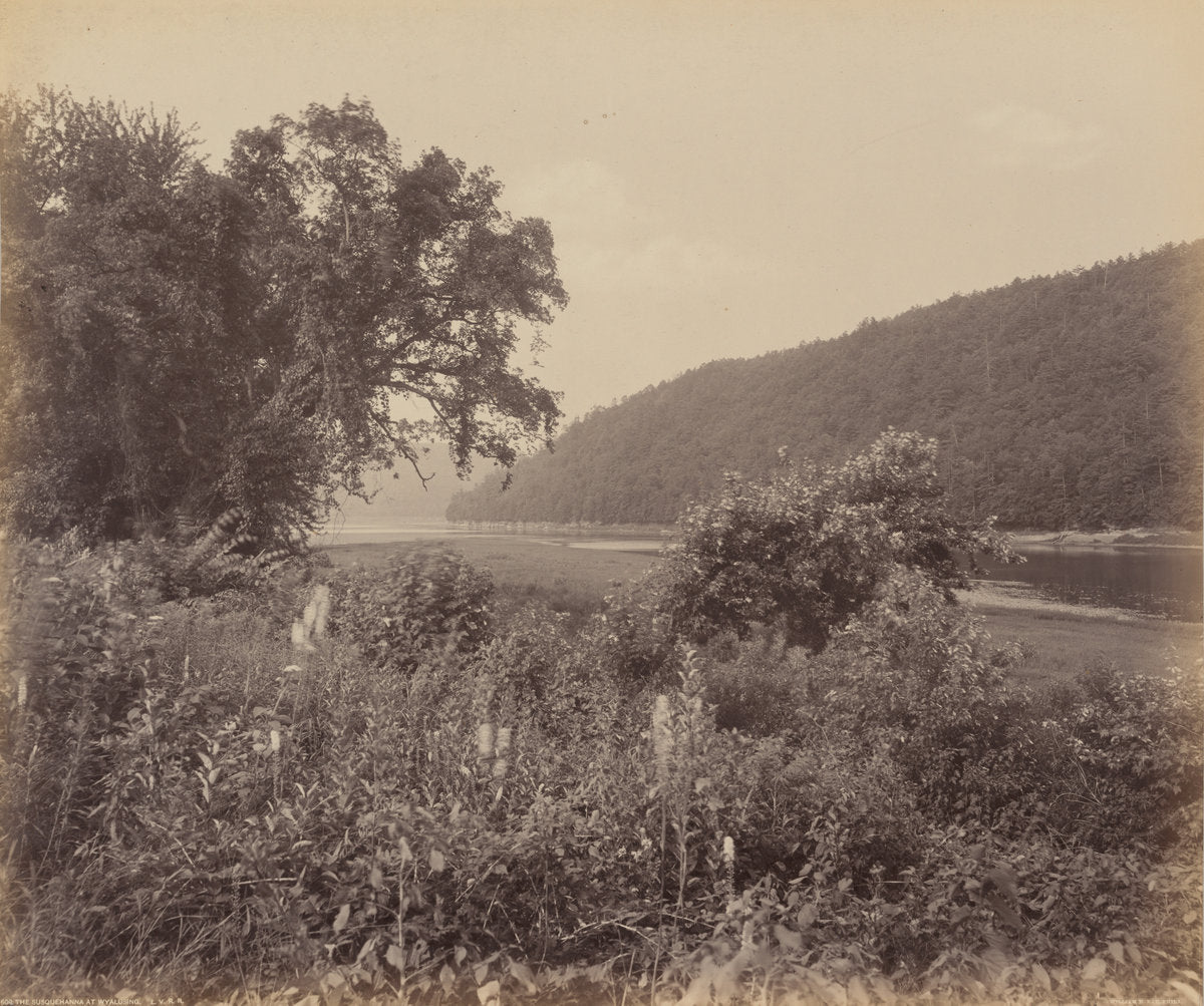 The Susquehanna At Wyalusing by William H. Rau (American, 1855 - 1920), 16X12"(A3)Poster Print