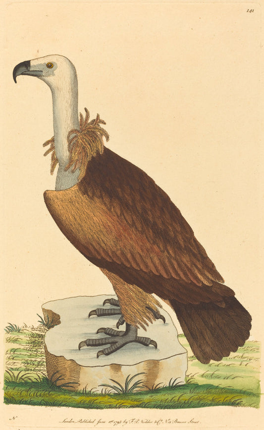 1793 by British 18th Century (The Alpine Vulture), 16X12"(A3)Poster Print