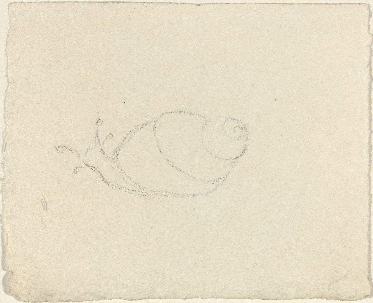 Snails [recto and verso] by John Flaxman (British, 1755 - 1826), 16X12"(A3)Poster Print