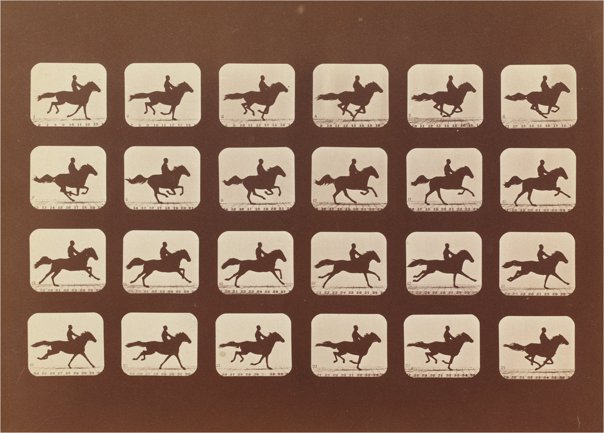 Horses. Running. Phyrne L. No. 40 by Eadweard Muybridge (American, born England, 1830 - 1904), 16X12"(A3)Poster Print