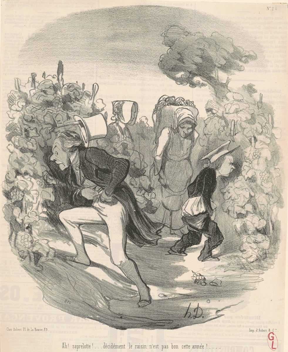 Ah! Saperlotte! ... Le raisin n'est pas bon cette année! ... by Honoré Daumier (French, 1808 - 1879), 16X12"(A3)Poster Print