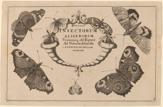 Title Page by Wenceslaus Hollar (Bohemian, 1607 - 1677), 16X12"(A3)Poster Print