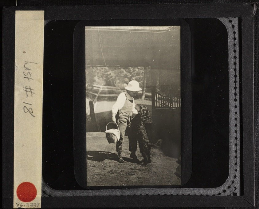 Untitled (Niece Elizabeth with "Inky" at Oaklawn) by  Alfred Stieglitz, 23x16"( A2 size) Poster Print