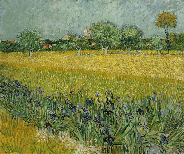 field with flowers near arles by Vincent Van Gogh, 12x8