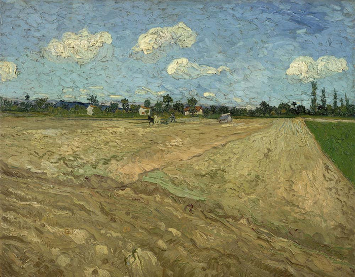 ploughed fields the furrows by Vincent Van Gogh, 12x8