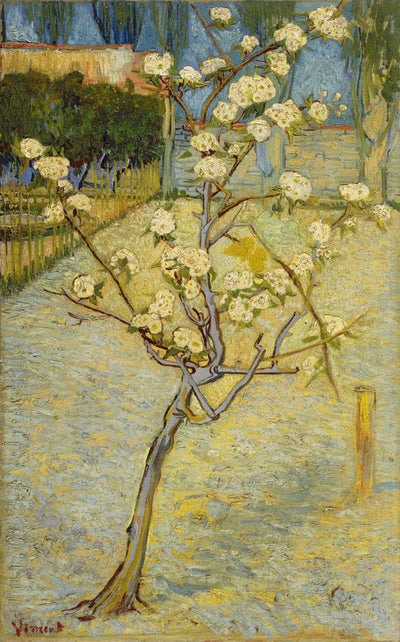 small pear tree in blossom by Vincent Van Gogh, 12x8" (A4) Poster