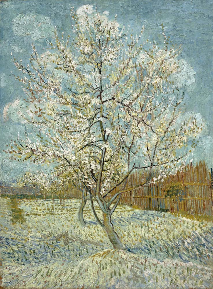 pink peach tree by Vincent Van Gogh, 12x8