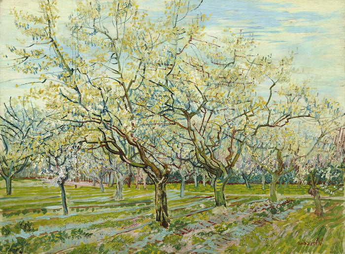 white orchard by Vincent Van Gogh, 12x8