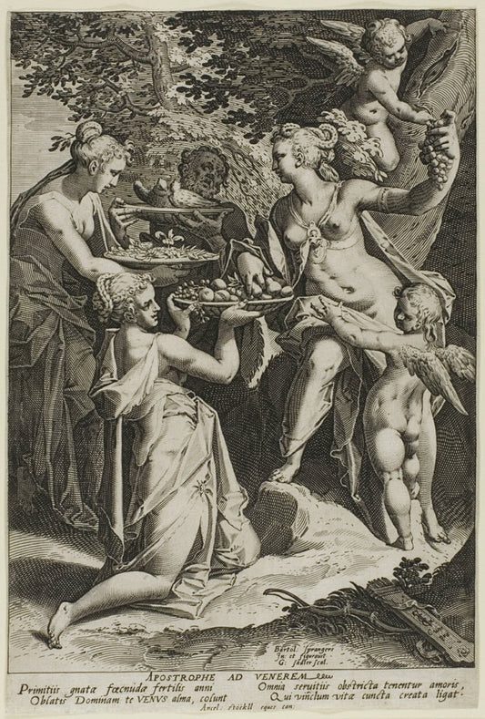 Venus Receiving Gifts by  Aegidius Sadeler (Flemish, 1570-1629), 23x16"( A2 size) Poster Print