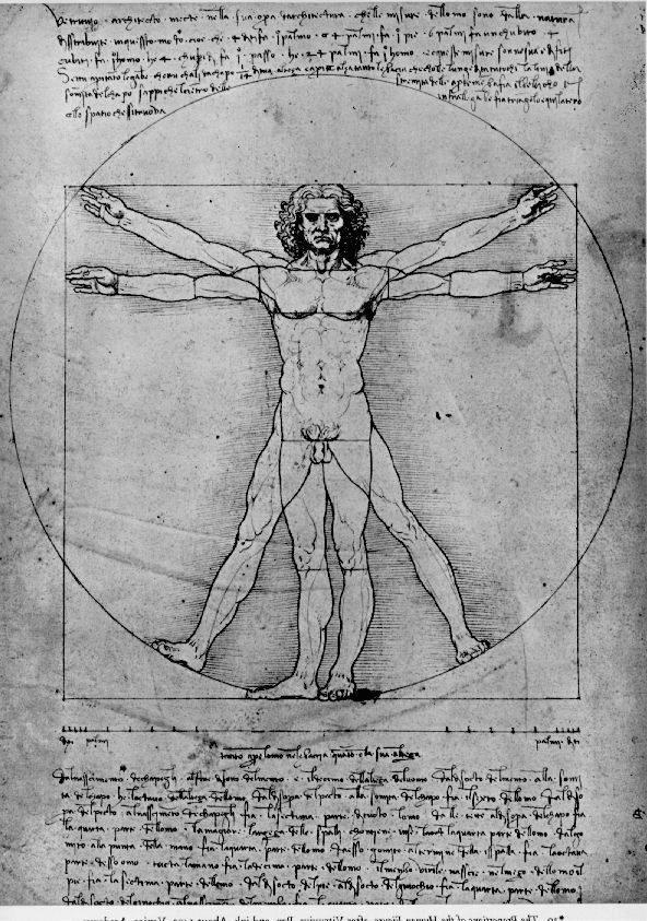 Vitruvian Man, Study of proportions, from Vitruvius's De Architectura, vintage artwork by Leonardo da Vinci, A3 (16x12") Poster Print