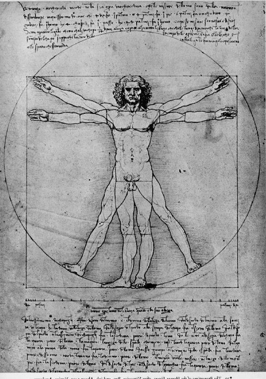 Vitruvian Man, Study of proportions, from Vitruvius's De Architectura, vintage artwork by Leonardo da Vinci, A3 (16x12") Poster Print