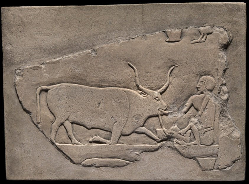 Wall Fragment from a Tomb Depicting a Herdsman by  Egyptian; Sakkara,23x16"( A2 size ) Poster Print