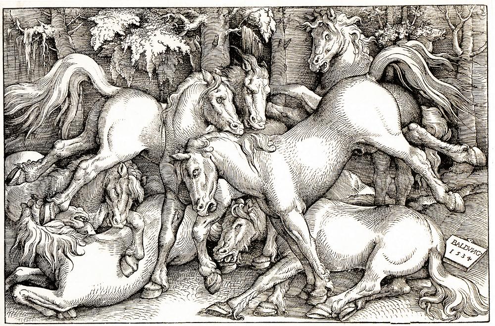 Wild Horses Fighting, vintage artwork by Hans Baldung, A3 (16x12") Poster Print